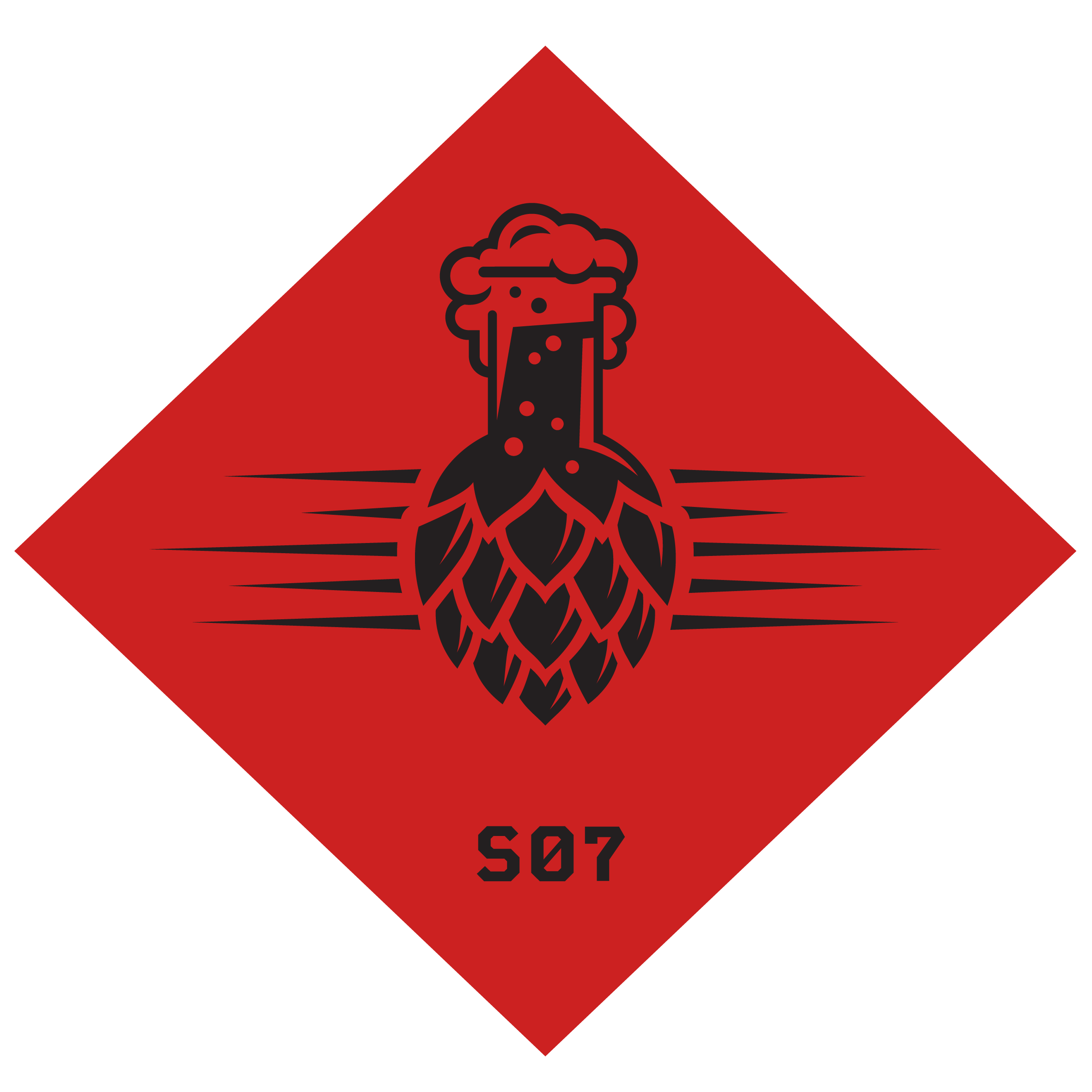 Lohrmanns Dresdner Dunkel.